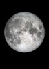 The Moon Poster Print by Design Fabrikken Design Fabrikken