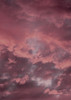 Pink Sky Poster Print by Design Fabrikken Design Fabrikken - Item # VARPDXMF9691123