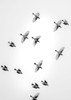 In the Sky 1 Poster Print by Design Fabrikken Design Fabrikken - Item # VARPDXMF9691260