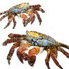 Winter Crabs Poster Print by Melody Hogan - Item # VARPDXMHSQ130A
