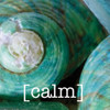 Calming Shells Poster Print by Melody Hogan - Item # VARPDXMHSQ162C1