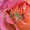 Two Halves Poster Print by Melody Hogan - Item # VARPDXMHSQ256G