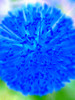Blue Ball I Poster Print by Grayscale Grayscale - Item # VARPDXMJMABS00022