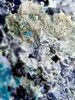Texture Group II Poster Print by Grayscale Grayscale - Item # VARPDXMJMABS00042