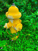 Cozy Hydrant Poster Print by Grayscale Grayscale - Item # VARPDXMJMDEC00005