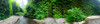 Fern Valley III Poster Print by Grayscale Grayscale - Item # VARPDXMJMNAT00072