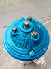 Blue Fire Hydrant II Poster Print by Grayscale Grayscale - Item # VARPDXMJMPLA00011