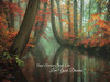 Live Your Dream Poster Print by Martin Podt - Item # VARPDXMPP126