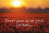 Never Give Up on Your Dreams Poster Print by Martin Podt - Item # VARPDXMPP189