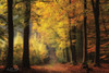 Autumn Mood Poster Print by Martin Podt - Item # VARPDXMPP559