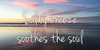 Salty Breeze Poster Print by Marcus Prime - Item # VARPDXMPPL005A1