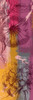 Flower Wine 1 Poster Print by Marcus Prime - Item # VARPDXMPPL031A