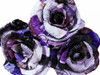 Paper Roses Poster Print by Marcus Prime - Item # VARPDXMPRC016A