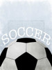 Soccer Love 2 Poster Print by Marcus Prime - Item # VARPDXMPRC074D1