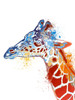 Rockin Giraffe Poster Print by Marcus Prime - Item # VARPDXMPRC117A