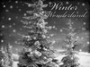 Winter Wonderland 1 Poster Print by Marcus Prime - Item # VARPDXMPRC169B