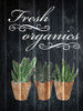 Fresh Organics 1 Poster Print by Marcus Prime - Item # VARPDXMPRC394A