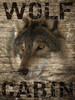 Wolf Cabin 1 Poster Print by Marcus Prime - Item # VARPDXMPRC412A