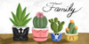 Succulent Family 1 Poster Print by Marcus Prime - Item # VARPDXMPRN052A