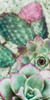 Springtime Succulents 3 Poster Print by Marcus Prime - Item # VARPDXMPRN053A