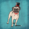 Magical Pug Poster Print by Marcus Prime - Item # VARPDXMPSQ021J