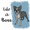 Like A Boss Poster Print by Marcus Prime - Item # VARPDXMPSQ021R