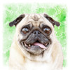 Woof Woof 3 Poster Print by Marcus Prime - Item # VARPDXMPSQ079C
