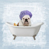Bath Giggles 1 Poster Print by Marcus Prime - Item # VARPDXMPSQ102A