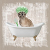 Kitty Baths 3 Poster Print by Marcus Prime - Item # VARPDXMPSQ103C