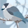 Canada Jay Poster Print by Marcus Prime - Item # VARPDXMPSQ123A