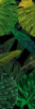 Green Palms Black Mate Poster Print by Mlli Villa - Item # VARPDXMVPL081B