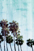 Palm Cool Blue Poster Print by Milli Villa - Item # VARPDXMVRC046B