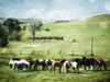 Round Them Up Again Poster Print by Mlli Villa - Item # VARPDXMVRC147B