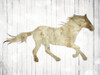 Icon Horse Poster Print by Mlli Villa - Item # VARPDXMVRC326A