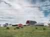 Farmhouse On The Hill Poster Print by Mlli Villa - Item # VARPDXMVRC397A