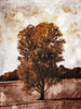 Lonely Fall Tree Poster Print by Mlli Villa - Item # VARPDXMVRC400A