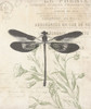 Lightened Vintage Insects Poster Print by Mlli Villa - Item # VARPDXMVRC411A