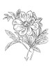 Lined Flowers Mate Poster Print by Mlli Villa - Item # VARPDXMVRC414B