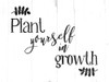 Plant Growth BW Poster Print by Mlli Villa - Item # VARPDXMVRC432A