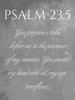 Psalm 23:5 Poster Print by Mlli Villa - Item # VARPDXMVRC462A