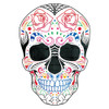 Colorful Candy Skull Poster Print by Mlli Villa - Item # VARPDXMVSQ041D