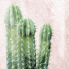Three Cacti Poster Print by Mlli Villa - Item # VARPDXMVSQ084A