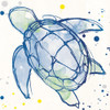 Minimal Sketch Turtle Poster Print by Milli Villa - Item # VARPDXMVSQ085A