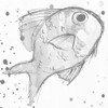 Minimal Sketch Fish Grey Poster Print by Mlli Villa - Item # VARPDXMVSQ085D