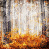 Fall in The Leaves Poster Print by Mlli Villa - Item # VARPDXMVSQ143A Fall in The Leaves Poster Print by Mlli Villa - Item # VARPDXMVSQ143A