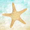 Star On The Beach Poster Print by Mlli Villa - Item # VARPDXMVSQ147A