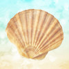 Shell On The Beach Poster Print by Mlli Villa - Item # VARPDXMVSQ147B