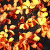 Bunch Of Leaves Poster Print by Mlli Villa - Item # VARPDXMVSQ177A
