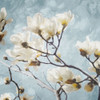 Tree Of White Flowers Mate Poster Print by Mlli Villa - Item # VARPDXMVSQ179B