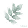 Grow Leaves Poster Print by Mlli Villa - Item # VARPDXMVSQ395A
